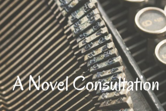 One-on-One Mentorship: A Novel Consultation