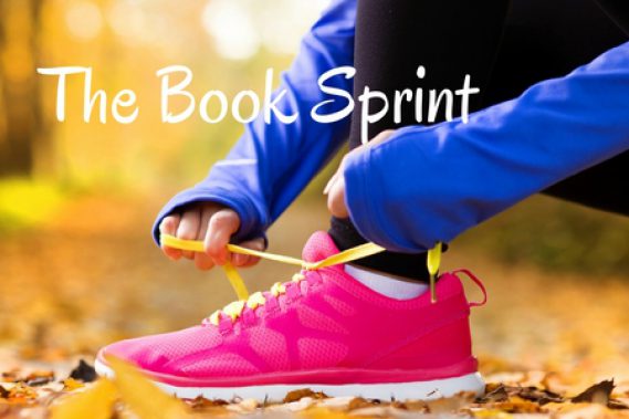 One-on-One Mentorship: The Book Sprint
