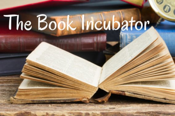 Group Coaching: The Book Incubator