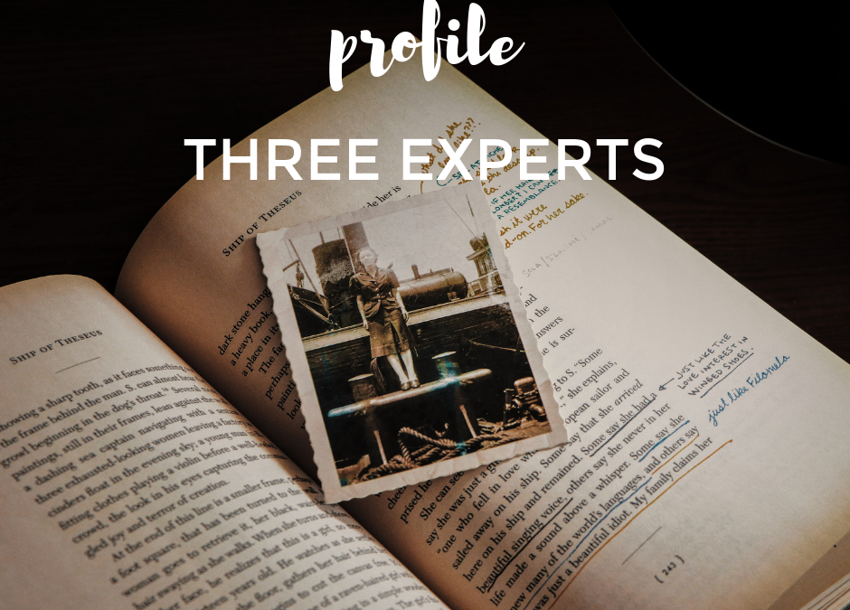 Profile Three Experts